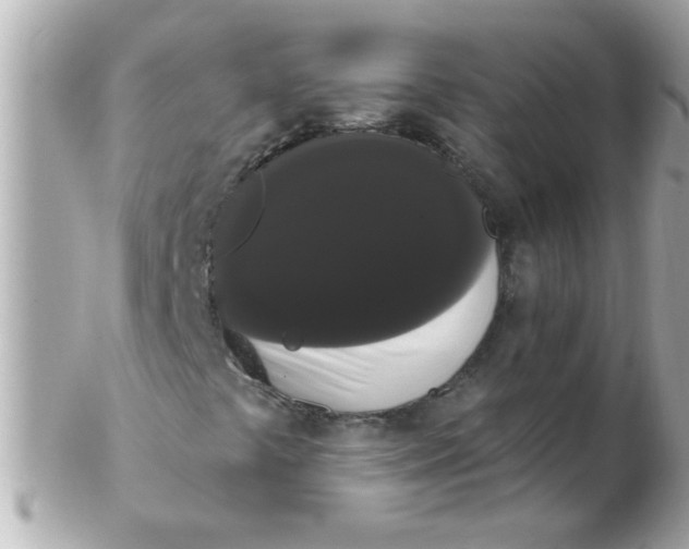 X0000102531441200808291810