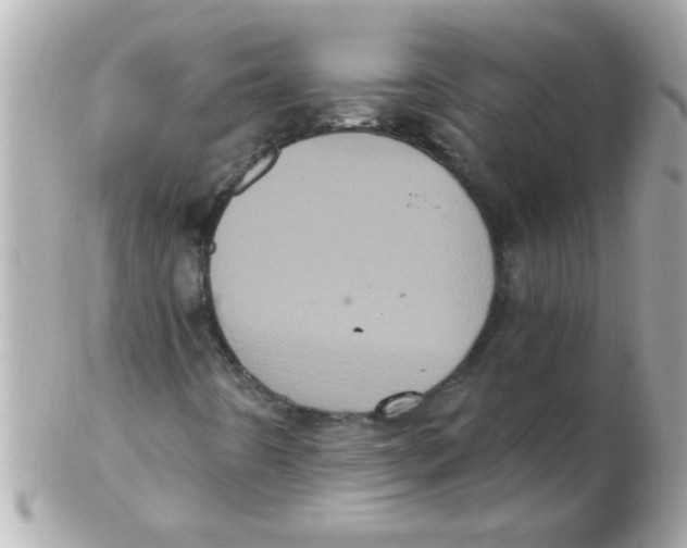 X0000102531442200808291810