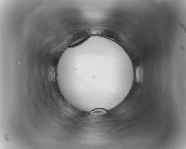 X0000102531443200808291809