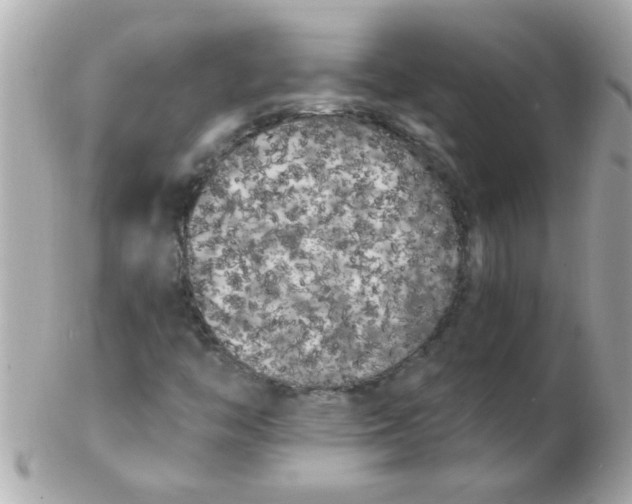 X0000102531446200808291809