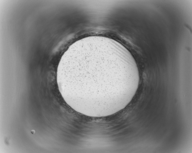 X0000102531447200808291809