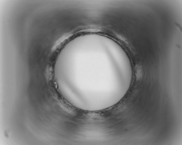 X0000102531448200808291809