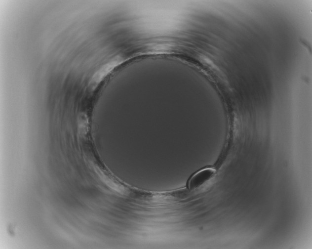 X0000102531449200808291809