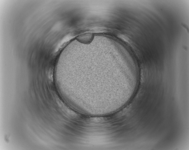 X0000102531451200808291809