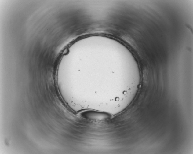 X0000102531452200808291809