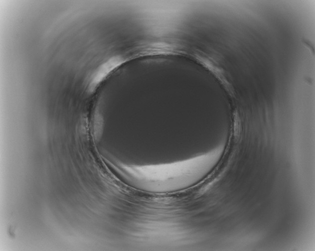 X0000102531453200808291809