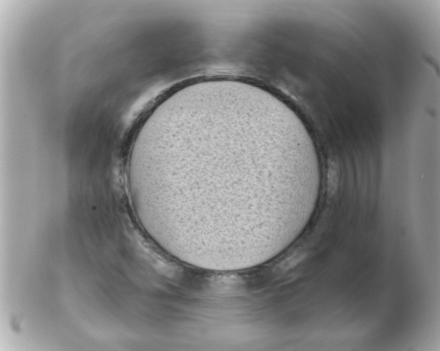 X0000102531454200808291809