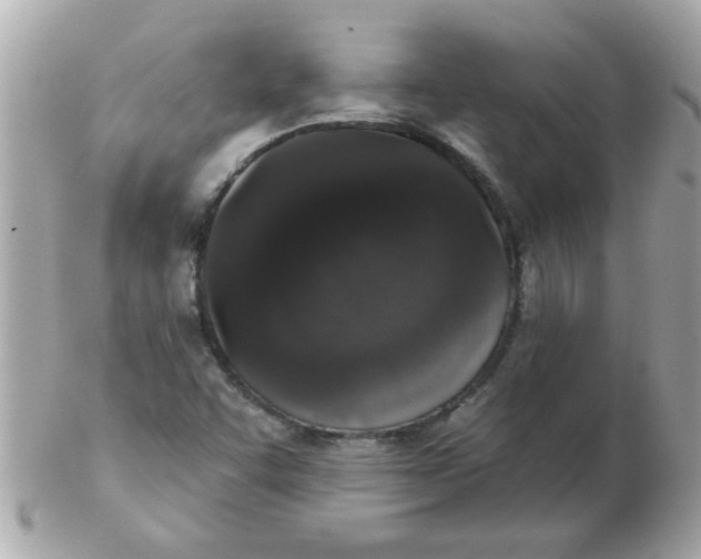 X0000102531455200808291809