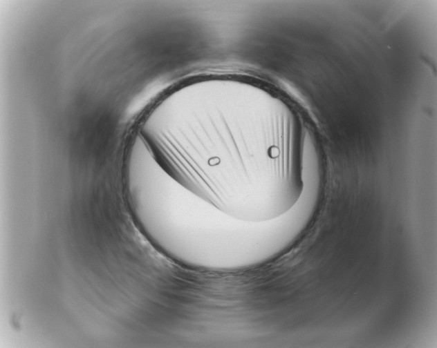 X0000102531456200808291809