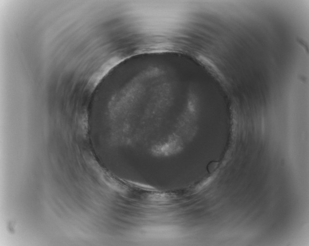 X0000102531457200808291809