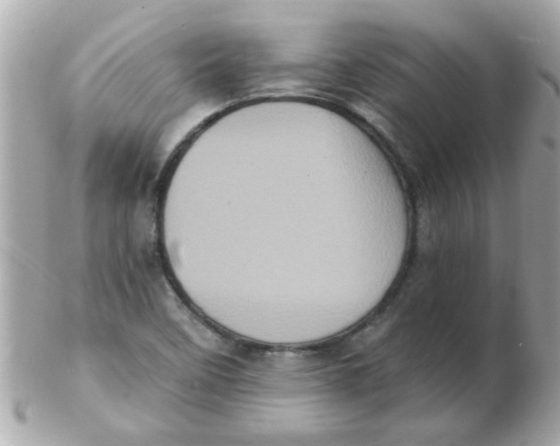 X0000102531458200808291809