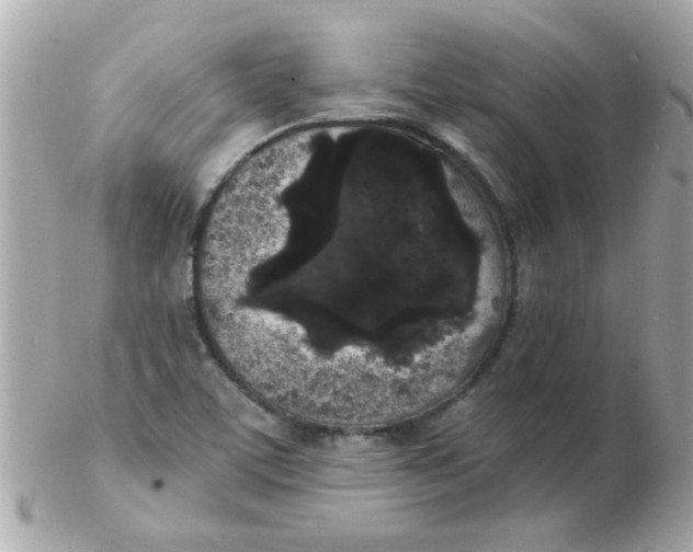 X0000102531459200808291809