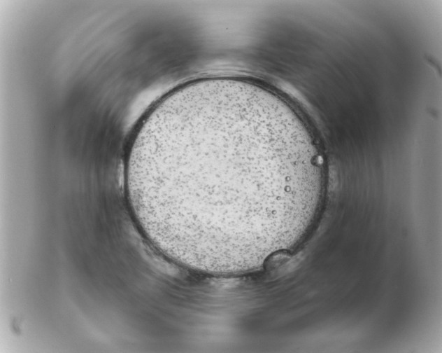 X0000102531461200808291809