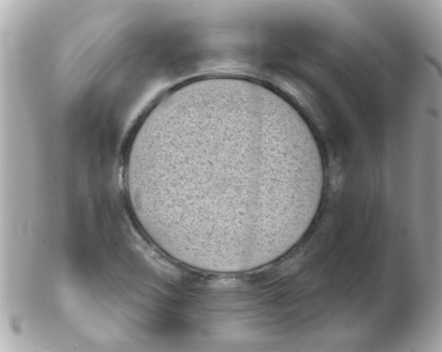 X0000102531462200808291809