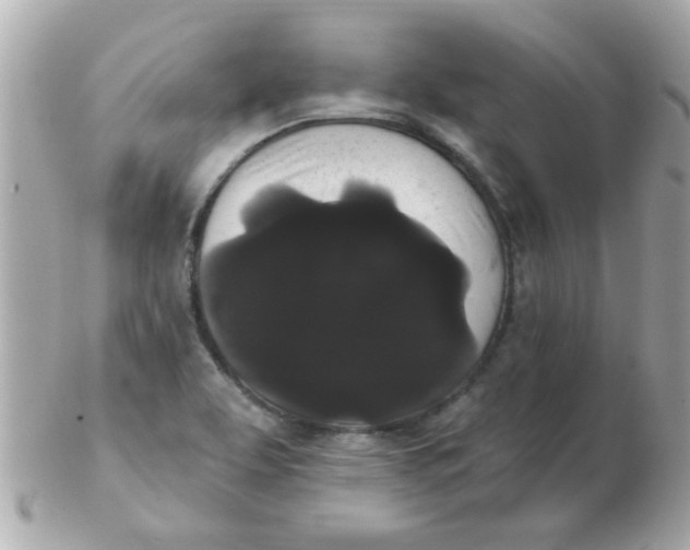 X0000102531463200808291809