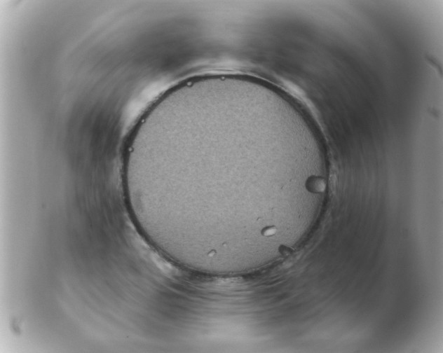 X0000102531464200808291809