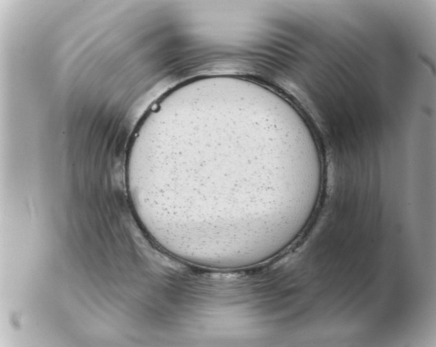 X0000102531465200808291809