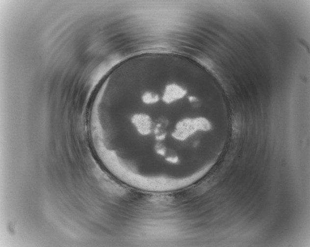 X0000102531466200808291809