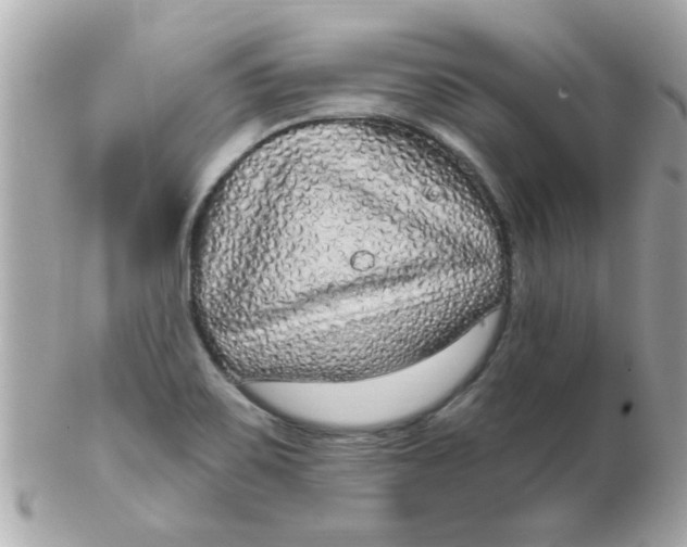 X0000102531467200808291809