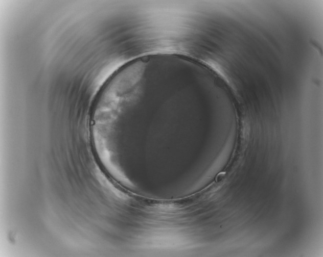 X0000102531468200808291809