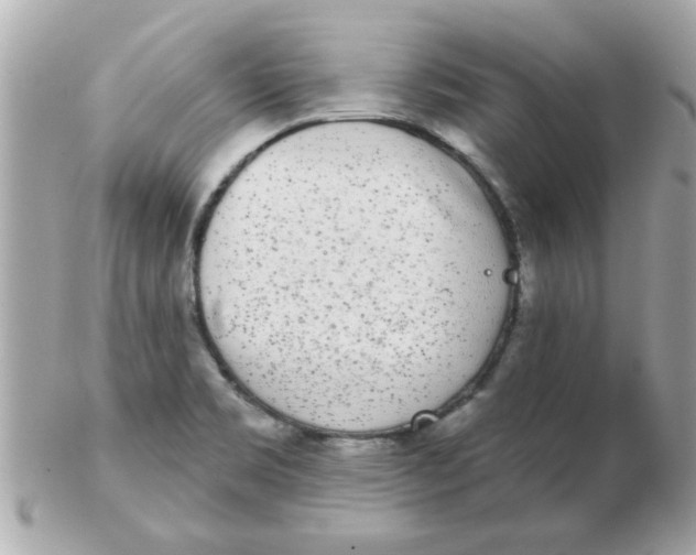 X0000102531469200808291809