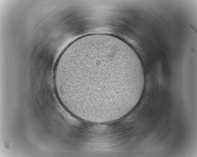 X0000102531470200808291809