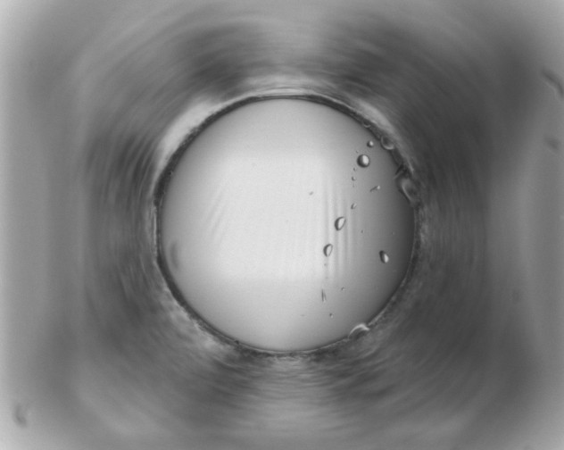 X0000102531472200808291809