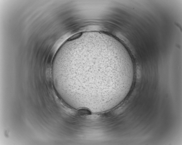 X0000102531473200808291809