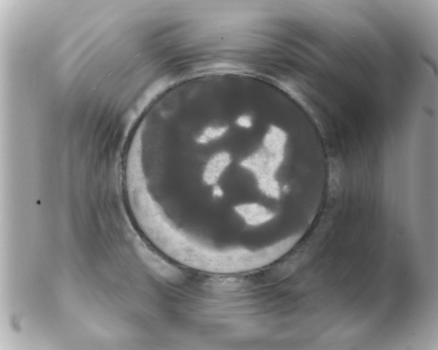 X0000102531474200808291809