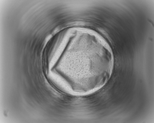 X0000102531475200808291809