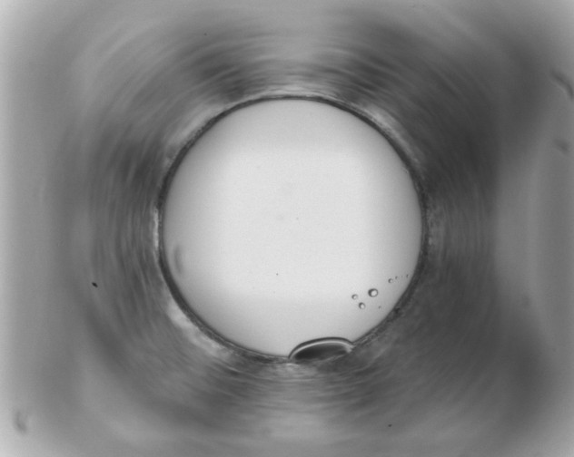 X0000102531476200808291809