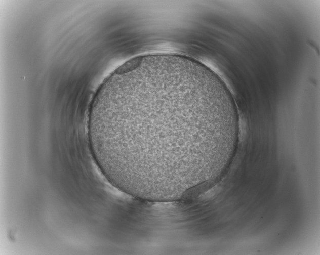 X0000102531477200808291809