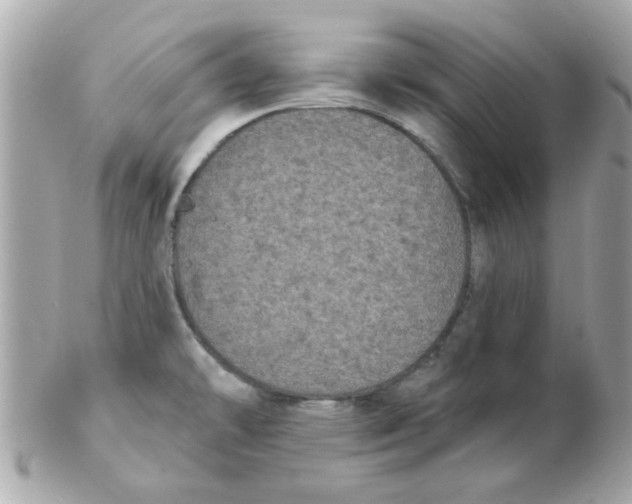 X0000102531478200808291809