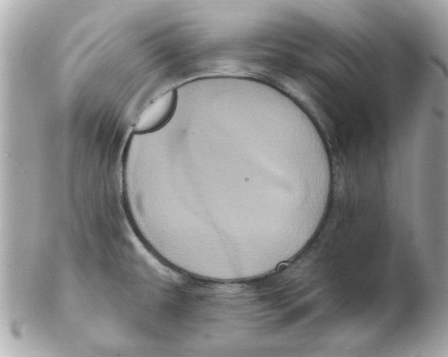 X0000102531479200808291809