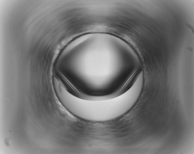 X0000102531480200808291809