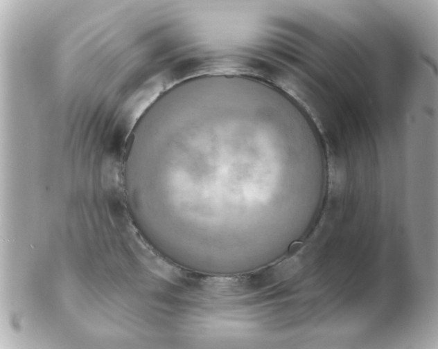 X0000102531481200808291809