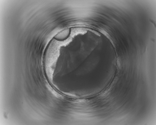 X0000102531482200808291809