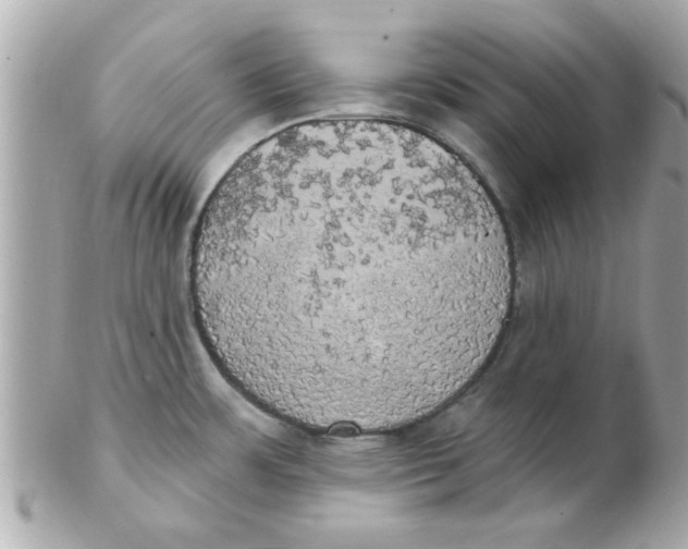 X0000102531483200808291809