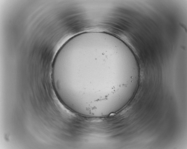 X0000102531484200808291809