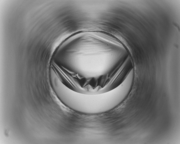 X0000102531485200808291809