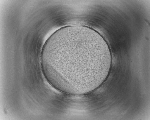 X0000102531486200808291809