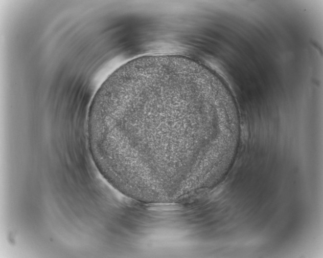 X0000102531487200808291809