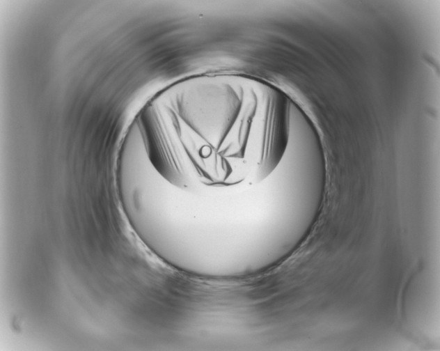 X0000102531488200808291809