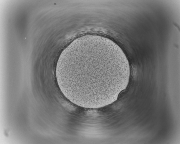 X0000102531489200808291808