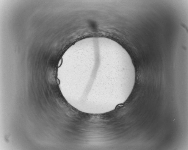 X0000102531490200808291808