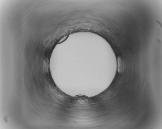 X0000102531491200808291808