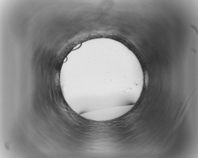 X0000102531492200808291808