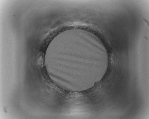 X0000102531493200808291808