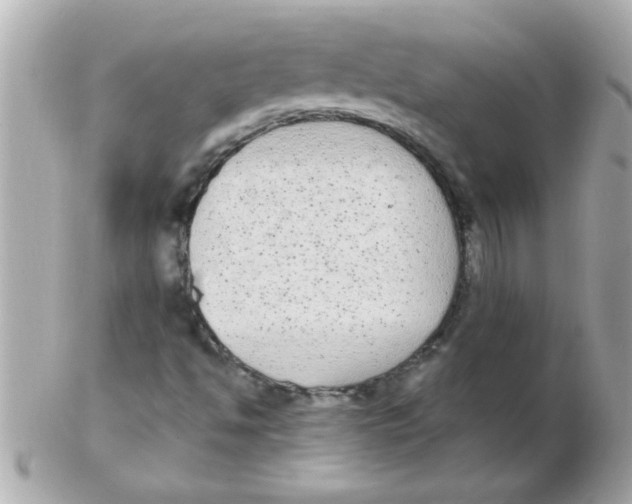 X0000102531494200808291808