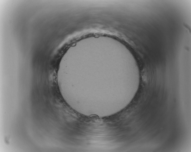 X0000102531495200808291808